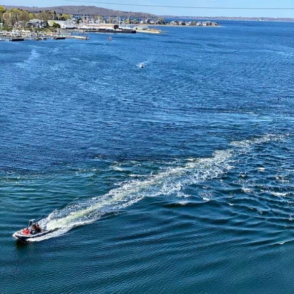 Meet your Posher, Jacqueline - Picture 8 of 12